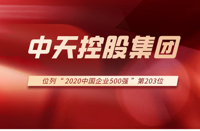 尊龙时凯控股集团列2020中国企业500强第203位！